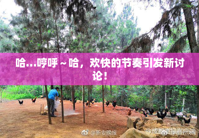 哈…哼呼～哈，欢快的节奏引发新讨论！