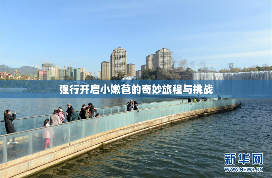 强行开启小嫩苞的奇妙旅程与挑战