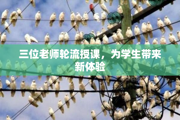 三位老师轮流授课，为学生带来新体验