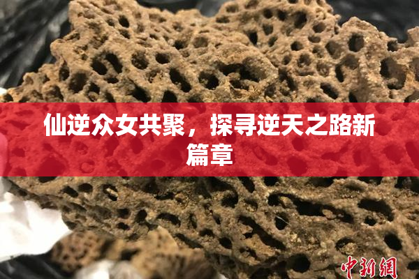 仙逆众女共聚，探寻逆天之路新篇章