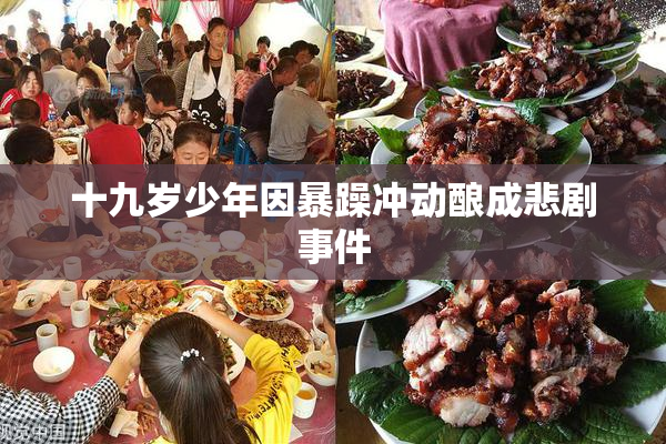 十九岁少年因暴躁冲动酿成悲剧事件