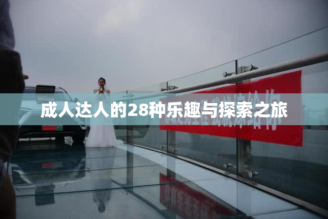 成人达人的28种乐趣与探索之旅