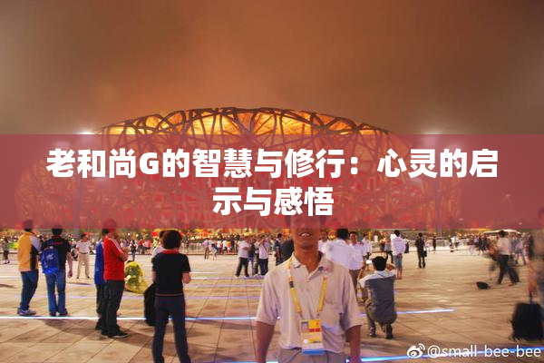 老和尚G的智慧与修行：心灵的启示与感悟