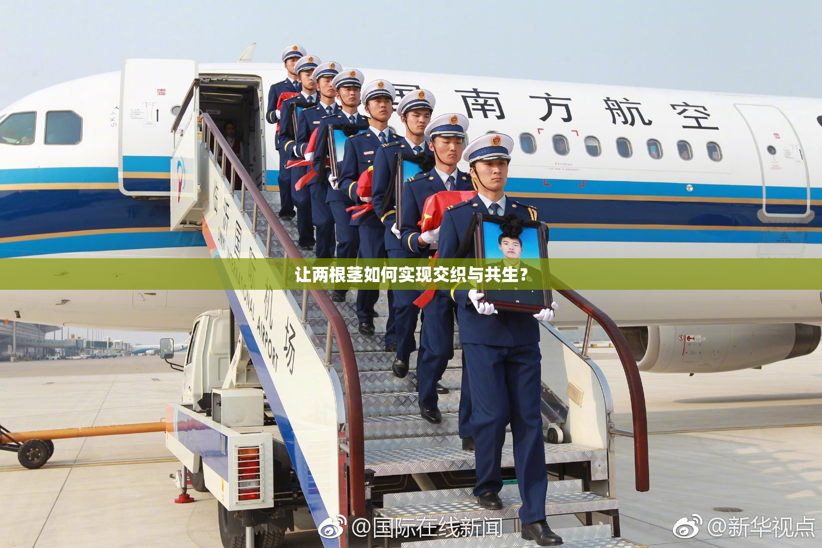 让两根茎如何实现交织与共生？