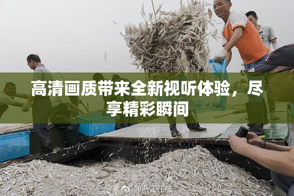高清画质带来全新视听体验，尽享精彩瞬间