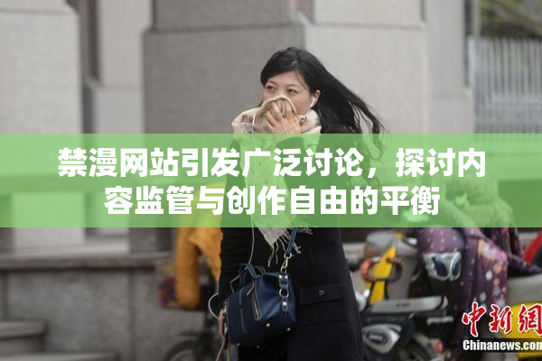 禁漫网站引发广泛讨论，探讨内容监管与创作自由的平衡