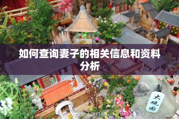 如何查询妻子的相关信息和资料分析