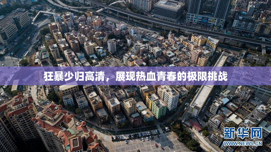 狂暴少归高清，展现热血青春的极限挑战
