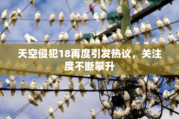 天空侵犯18再度引发热议，关注度不断攀升