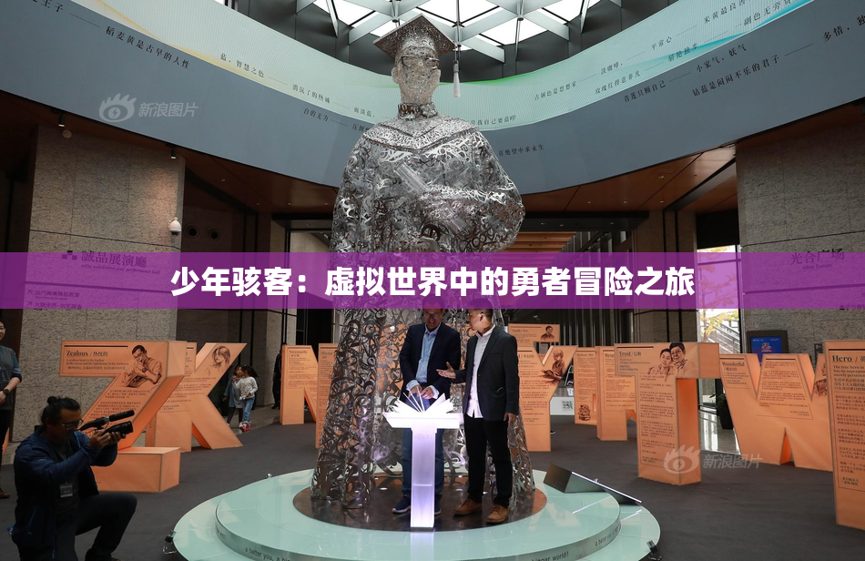 少年骇客：虚拟世界中的勇者冒险之旅