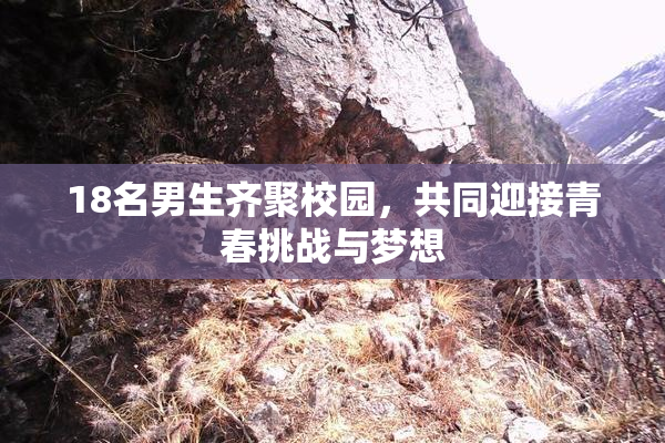 18名男生齐聚校园，共同迎接青春挑战与梦想