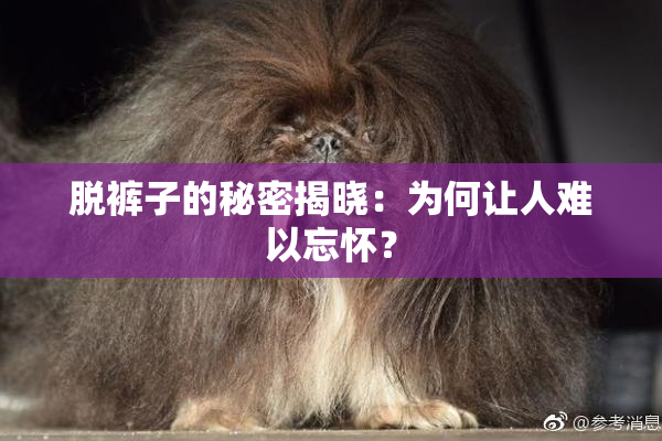 脱裤子的秘密揭晓：为何让人难以忘怀？