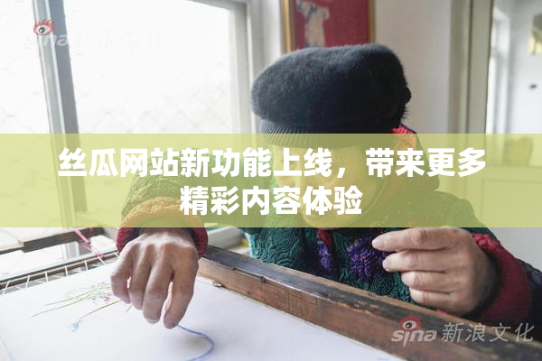 丝瓜网站新功能上线，带来更多精彩内容体验
