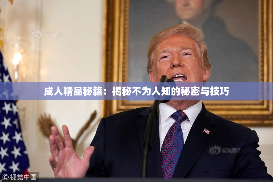 成人精品秘籍：揭秘不为人知的秘密与技巧