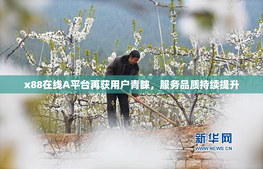 x88在线A平台再获用户青睐，服务品质持续提升