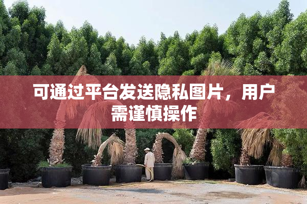 可通过平台发送隐私图片，用户需谨慎操作