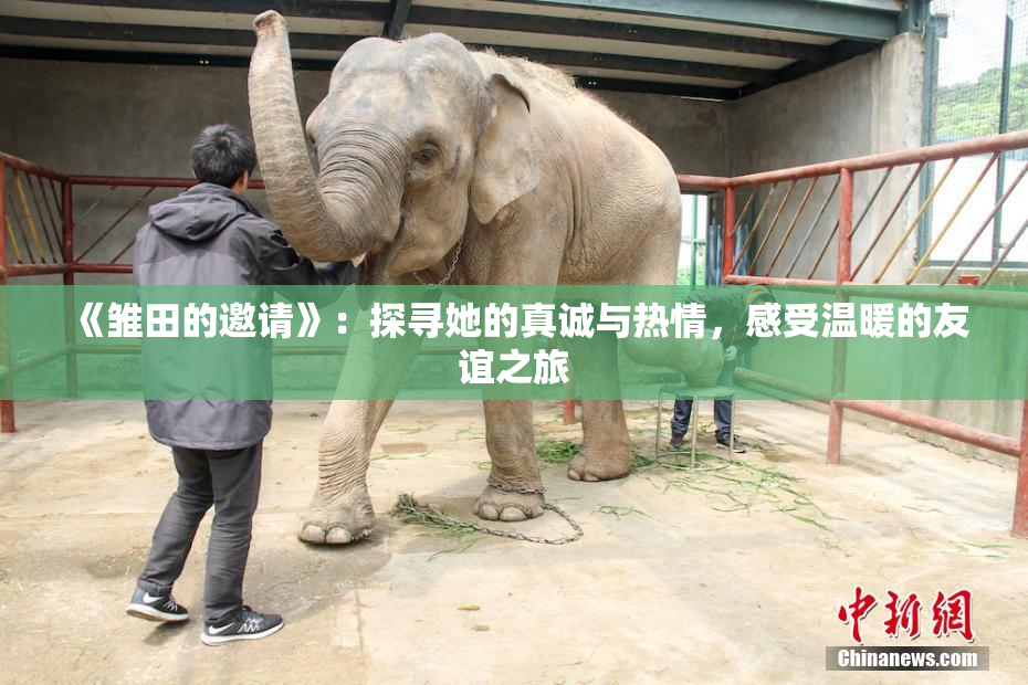 《雏田的邀请》：探寻她的真诚与热情，感受温暖的友谊之旅