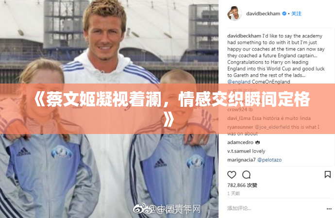 《蔡文姬凝视着澜，情感交织瞬间定格》