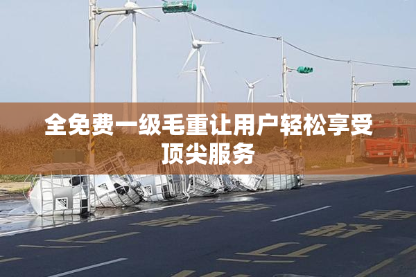全免费一级毛重让用户轻松享受顶尖服务