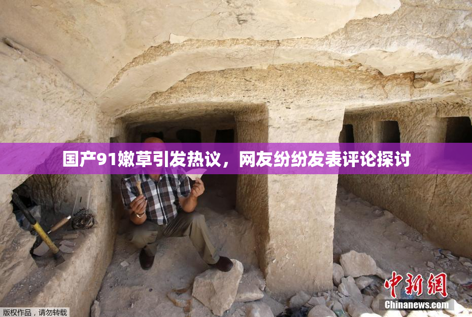 国产91嫩草引发热议，网友纷纷发表评论探讨