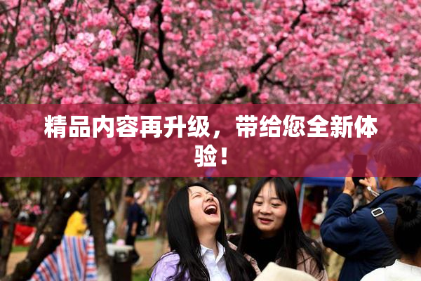 精品内容再升级，带给您全新体验！