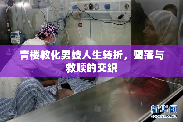 青楼教化男妓人生转折，堕落与救赎的交织