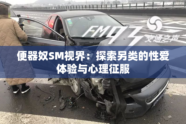 便器奴SM视界：探索另类的性爱体验与心理征服