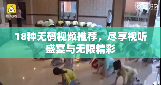18种无码视频推荐，尽享视听盛宴与无限精彩