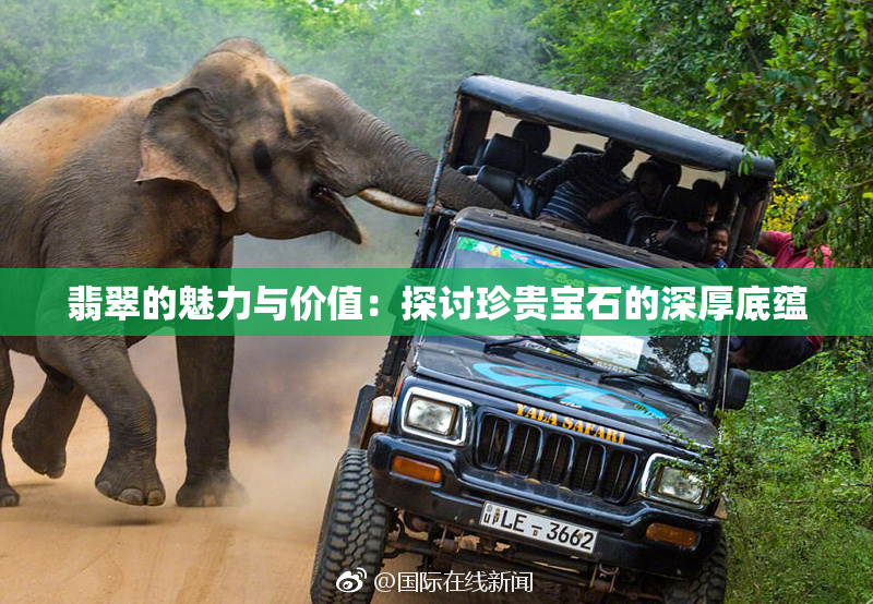 翡翠的魅力与价值：探讨珍贵宝石的深厚底蕴
