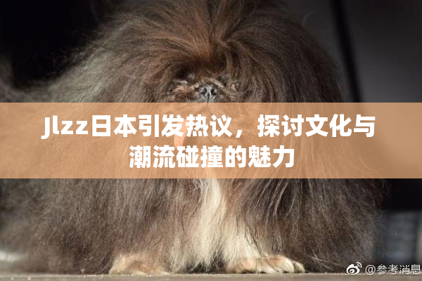 Jlzz日本引发热议，探讨文化与潮流碰撞的魅力