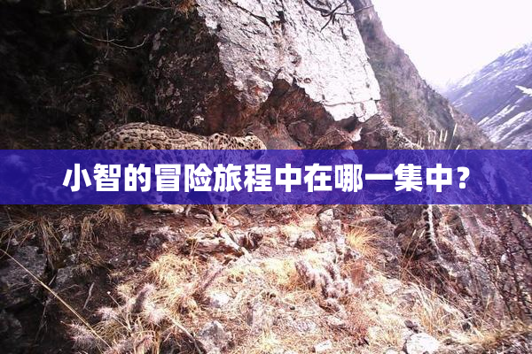 小智的冒险旅程中在哪一集中？