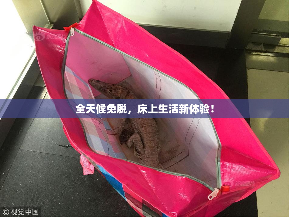 全天候免脱，床上生活新体验！