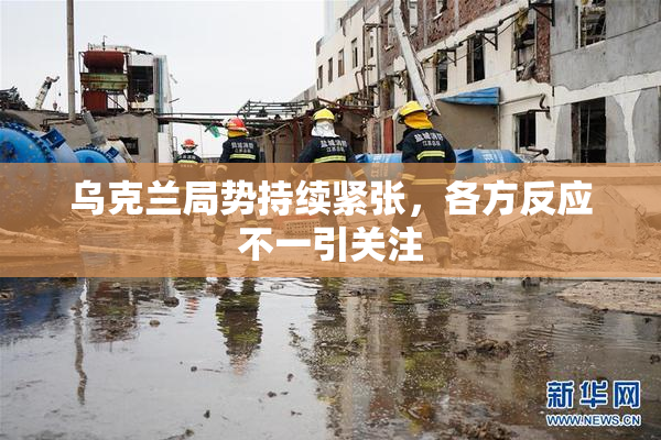 乌克兰局势持续紧张，各方反应不一引关注