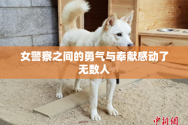 女警察之间的勇气与奉献感动了无数人