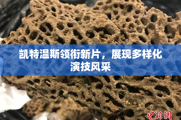 凯特温斯领衔新片，展现多样化演技风采