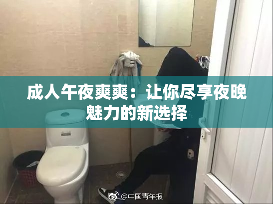 成人午夜爽爽：让你尽享夜晚魅力的新选择