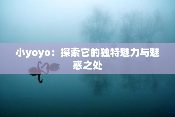 小yoyo：探索它的独特魅力与魅惑之处