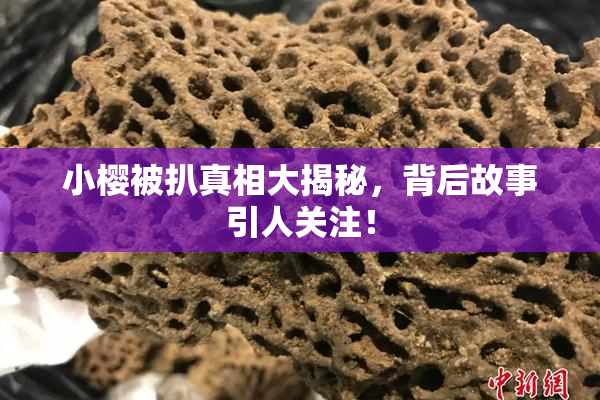 小樱被扒真相大揭秘，背后故事引人关注！
