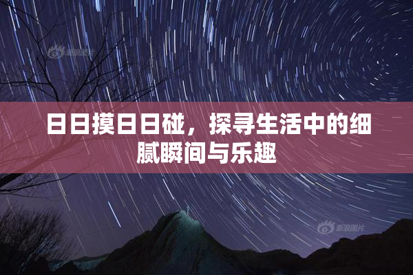 日日摸日日碰，探寻生活中的细腻瞬间与乐趣