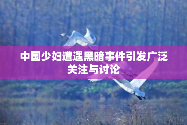 中国少妇遭遇黑暗事件引发广泛关注与讨论