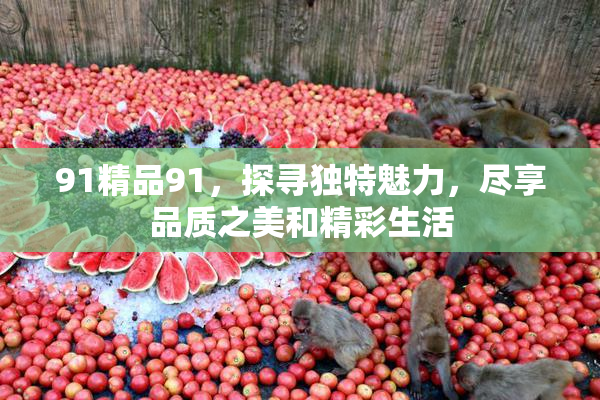 91精品91，探寻独特魅力，尽享品质之美和精彩生活