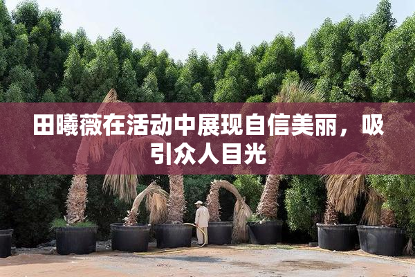 田曦薇在活动中展现自信美丽，吸引众人目光