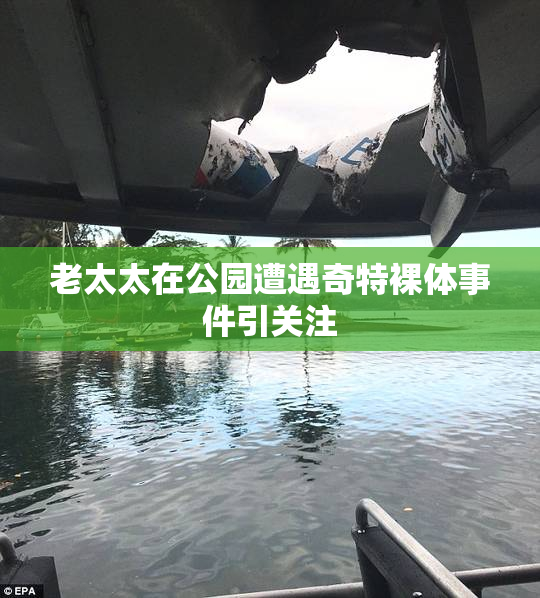 老太太在公园遭遇奇特裸体事件引关注