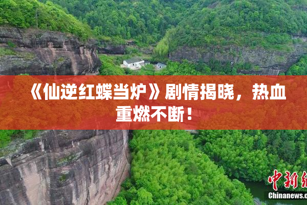 《仙逆红蝶当炉》剧情揭晓，热血重燃不断！