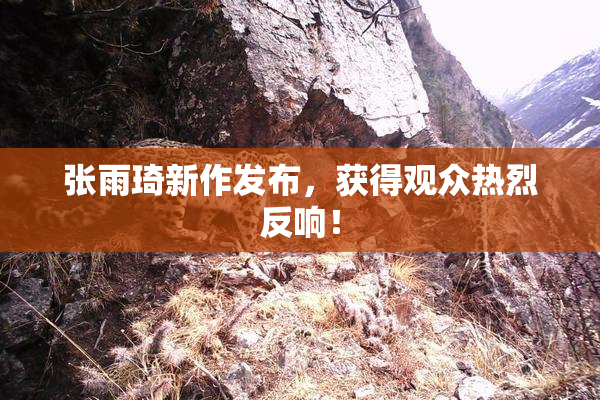 张雨琦新作发布，获得观众热烈反响！