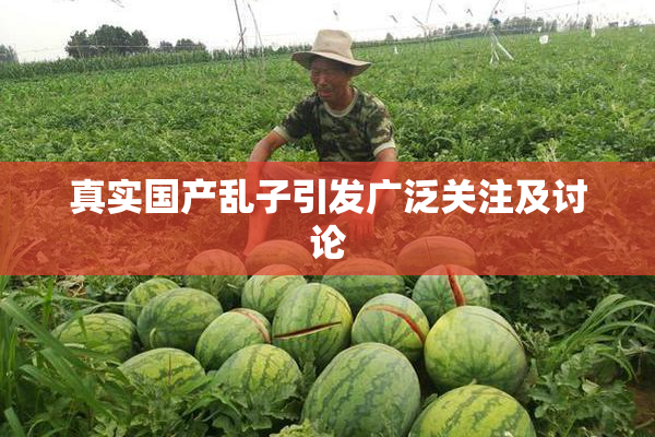 真实国产乱子引发广泛关注及讨论