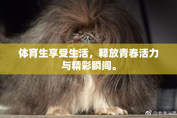 体育生享受生活，释放青春活力与精彩瞬间。