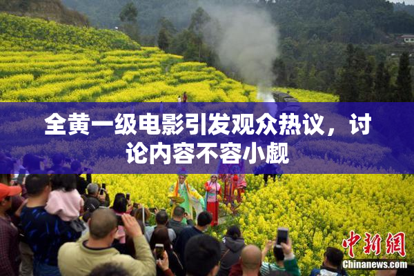 全黄一级电影引发观众热议，讨论内容不容小觑