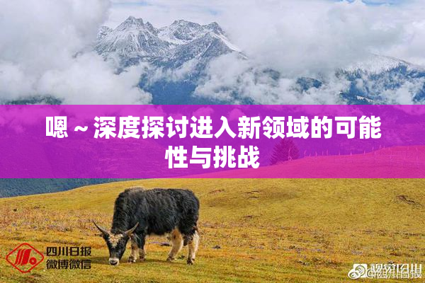 嗯～深度探讨进入新领域的可能性与挑战