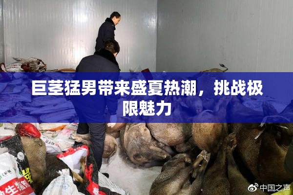 巨茎猛男带来盛夏热潮，挑战极限魅力